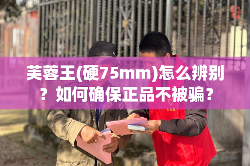 芙蓉王(硬75mm)怎么辨别？如何确保正品不被骗？